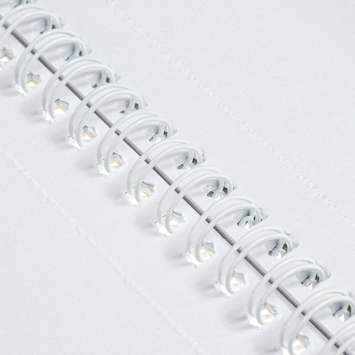 Альбом для черчения А4, 20 листов на гребне, 160г/м2 Альбом для черчения А4, 20 листов на гребне, 160г/м2