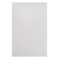 Картон пивной премиум, 70 х 100 см, (формат В2), толщина 1.6 мм, 650 г/м2, Италия, цена за 1 штуку Картон пивной премиум, 70 х 100 см, (формат В2), толщина 1.6 мм, 650 г/м2, Италия, цена за 1 штуку