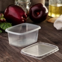 Контейнер пластиковый одноразовый с крышкой, 10 шт, 250 мл, 10,8&times;8,2&times;4,6 см, цвет прозрачный