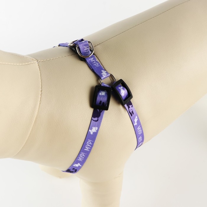 Комплект &laquo;Мур! Мур!&raquo;, шлейка 24-34х1 см, поводок 120 см