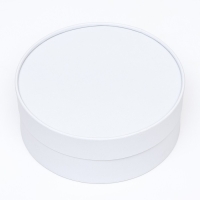 Подарочная коробка "Нежность" флора, завальцованная без окна, 20.5 х 7 см