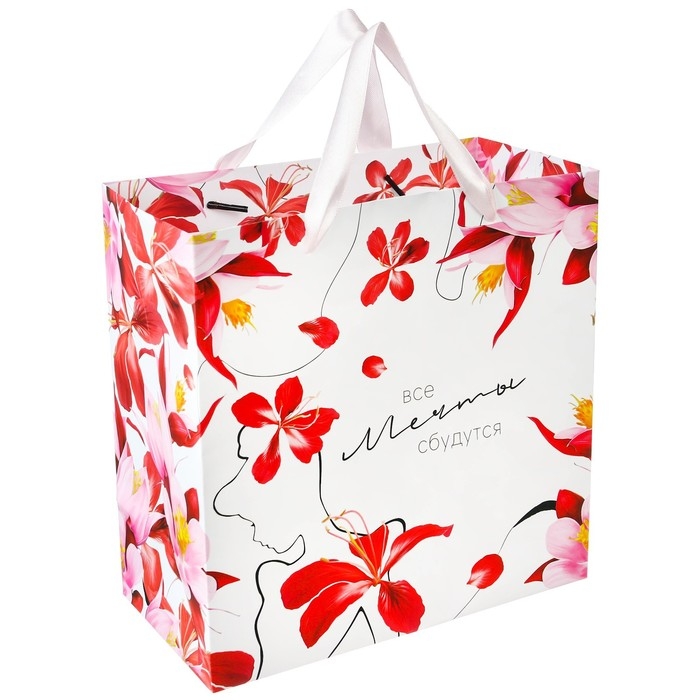 Пакет подарочный "Мечты сбудутся" 22х22х11 см, упаковка, Принцессы