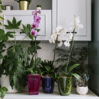 Горшок для орхидей, 2 л, 14,8 &times; 16,2 см круглый, пластик, прозрачно-фиолетовый