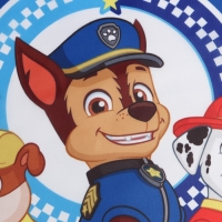 Фартук с нарукавниками детский PAW PATROL &laquo;Всегда готовы&raquo;, 49х39 см