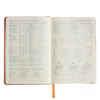 Ежедневник недатированный А5, 160 листов MEGAPOLIS VELVET, твёрдая обложка, искусственная кожа, ляссе, на резинке, тонированный блок 70 г/м2, оранжевый