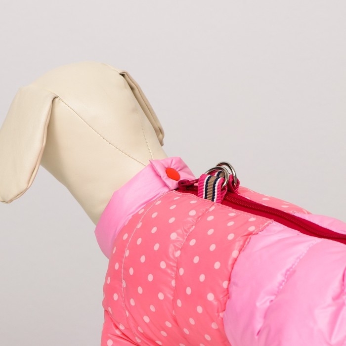 Комбинезон для собак Комбинезон для собак "Горошек", размер 22 (ДС 48, ОГ 54, ОШ 38 см), розовый