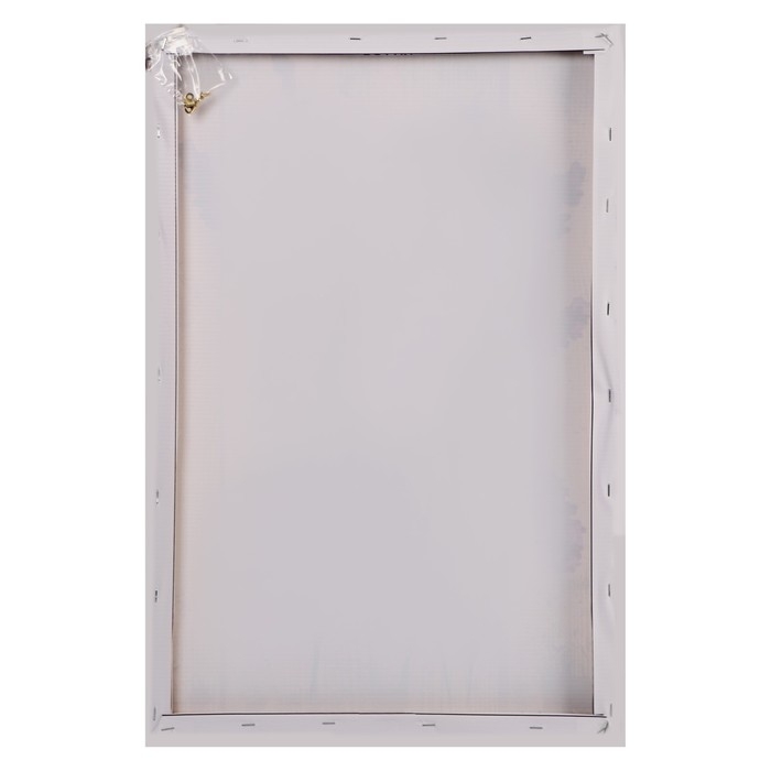 Картина на холсте "Розовый цвет" 40*60 см