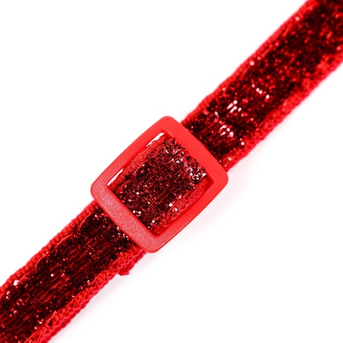 Ошейник двухслойный с фастексом Ошейник двухслойный с фастексом "Гламур" 30 х 1 см, красный