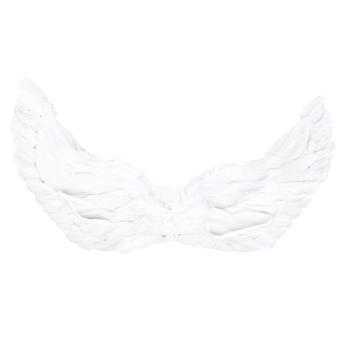 Карнавальные крылья 30 &times; 60, цвета МИКС