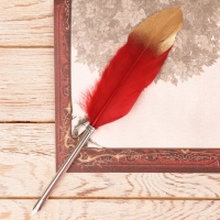 Родословная книга в шкатулке &laquo;Древо&raquo;, 56 листов, набор 3 предмета.