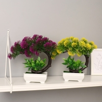 Бонсай в горшке "Селагинелла африканская" 10х20 см, микс Бонсай в горшке "Селагинелла африканская" 10х20 см, микс