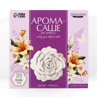 Аромасаше своими руками. Набор для создания ароматической фигурки из гипса «Сладкая ваниль» Аромасаше своими руками. Набор для создания ароматической фигурки из гипса «Сладкая ваниль»