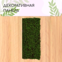 Декоративная панель, 90 × 40 см, «Ряска», Greengo Декоративная панель, 90 × 40 см, «Ряска», Greengo