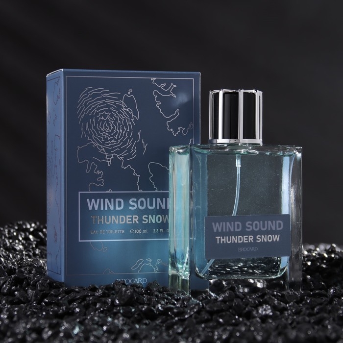 Туалетная вода мужская Туалетная вода мужская "Звук Ветра", "Снежная Гроза", 100 мл