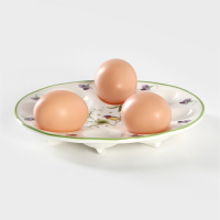 Подставка фарфоровая для яиц Доляна «Зелёный сад», d=19,5 см Подставка фарфоровая для яиц Доляна «Зелёный сад», d=19,5 см