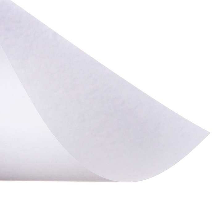 Набор ватманов чертёжных А3, 160 г/м&sup2;, 20 листов