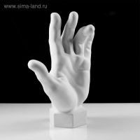 Гипсовая фигура кисть вертикальная, 14 х 31,5 х 42 см