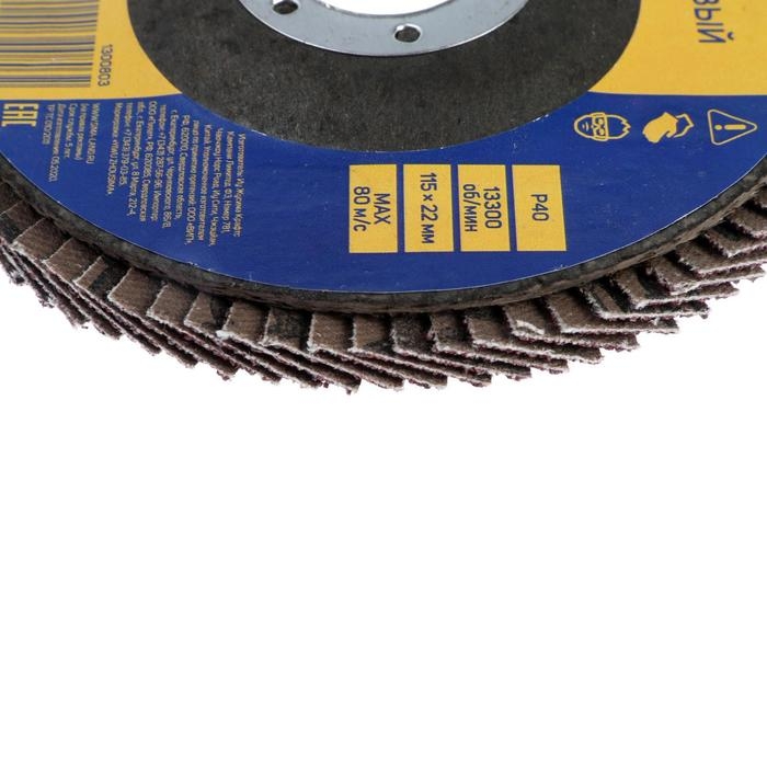 Круг лепестковый торцевой ТУНДРА, 115 х 22 мм, Р40 Круг лепестковый торцевой ТУНДРА, 115 х 22 мм, Р40