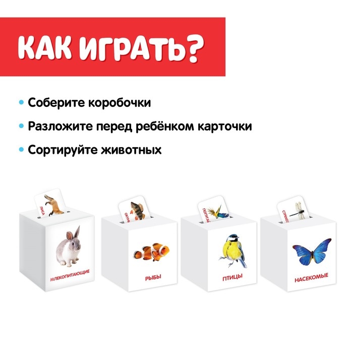 Сортер-копилка &laquo;Животные&raquo; по методике Г. Домана