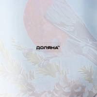 Блюдо новогоднее стеклянное сервировочное Доляна &laquo;Рукавица. Снегирь&raquo;, 22,5&times;14 см