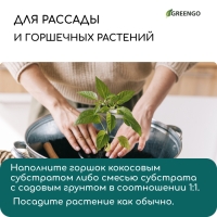 Субстрат кокосовый в таблетках, 4,5 л, d = 10 см, набор 5 шт., без оболочки, Greengo Субстрат кокосовый в таблетках, 4,5 л, d = 10 см, набор 5 шт., без оболочки, Greengo