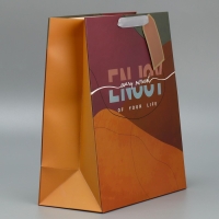 Пакет подарочный ламинированный, упаковка, &laquo;Счастье&raquo;, 25.4 х 30.5 х 12.7 см