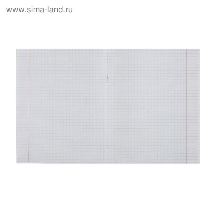 Тетрадь 48 листов в клетку Calligrata Тетрадь 48 листов в клетку Calligrata "Кигуруми", обложка мелованный картон, УФ-лак, блок офсет, МИКС