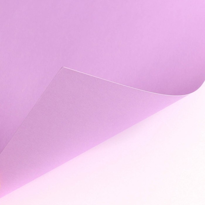 Картон цветной тонированный, А4, 8 листов, 8 цветов, немелованный, двусторонний, в пакете, 180 г/м&sup2;, Маша и Медведь