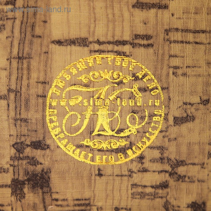 Сейф-книга "Доходы и сверхдоходы" 22х16х7 см