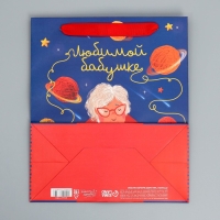 Пакет подарочный ламинированный вертикальный, упаковка, &laquo;Бабушке&raquo;, ML 27 х 23 х 11,5 см