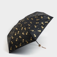 Зонт женский механический, 6 спиц, цвет чёрный.