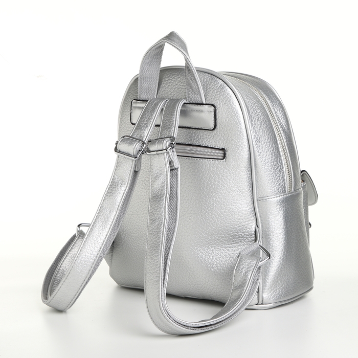 Рюкзак городской на молнии, цвет серебряный Рюкзак городской на молнии, цвет серебряный