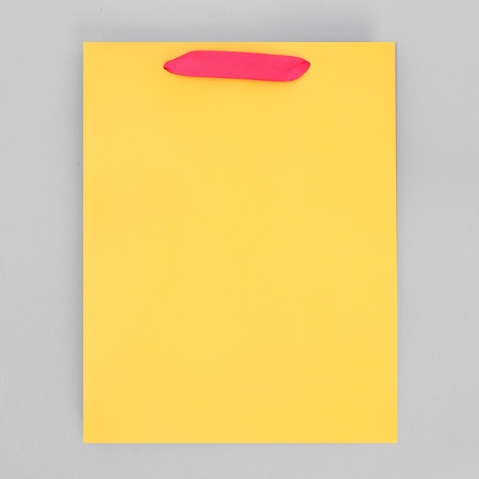 Пакет подарочный трёхцветный, упаковка, &laquo;Жёлтый-розовый-голубой&raquo;, MS 18 х 23 х 10 см