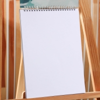 Скетчбук А4, 32 листа, 190 г/м2 &laquo;Давид&raquo;