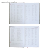 Ежедневник недатированный А4, 136 листов Sidney Nebraska, твёрдая обложка, искусственная кожа, золотой срез, ляссе, зелёный Ежедневник недатированный А4, 136 листов Sidney Nebraska, твёрдая обложка, искусственная кожа, золотой срез, ляссе, зелёный