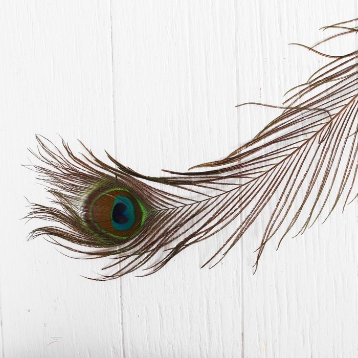 Перо павлина для декора, 1 шт. Перо павлина для декора, 1 шт.