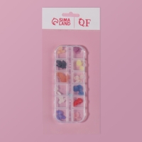 Сухоцветы для декора ногтей &laquo;Нежность&raquo;, объёмные, 12 видов, в футляре, разноцветные