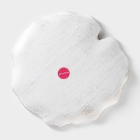 Блюдо для фруктов Доляна «Кувшинка», 30×30 см, цвет белый Блюдо для фруктов Доляна «Кувшинка», 30×30 см, цвет белый