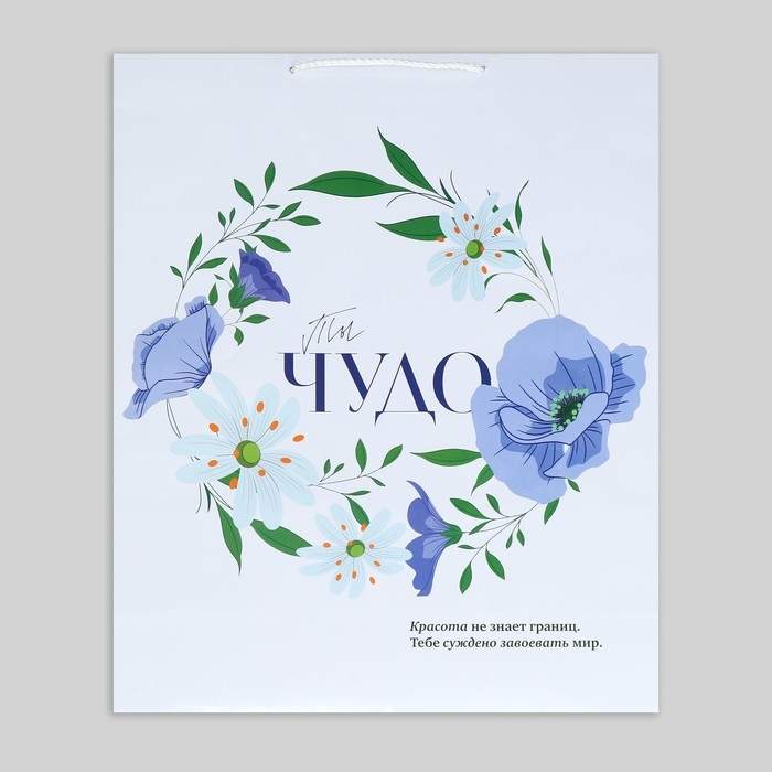 Пакет подарочный ламинированный, упаковка, &laquo;Ты чудо&raquo;, 40 х 49 х 15 см