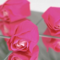 Мыльные розочки, розовая фуксия, набор 24 шт. Мыльные розочки, розовая фуксия, набор 24 шт.