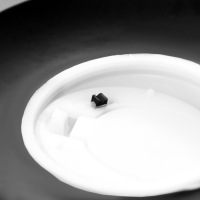 Ночник "Лампа" LED 1хCR2032 черный 10х7х13см RISALUX Ночник "Лампа" LED 1хCR2032 черный 10х7х13см RISALUX