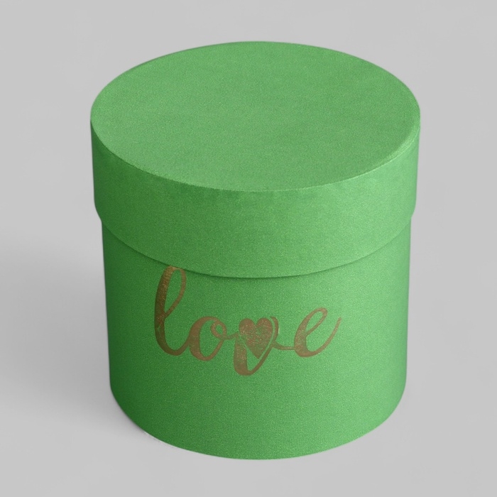 Набор шляпных коробок Love 3 в 1 зеленое яблоко, 15 х 16 - 10,5 х 11 см Набор шляпных коробок Love 3 в 1 зеленое яблоко, 15 х 16 - 10,5 х 11 см
