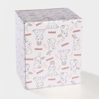 Конфетница Доляна &laquo;Зайка&raquo;, 650 мл, 17&times;14,5&times;18,5 см