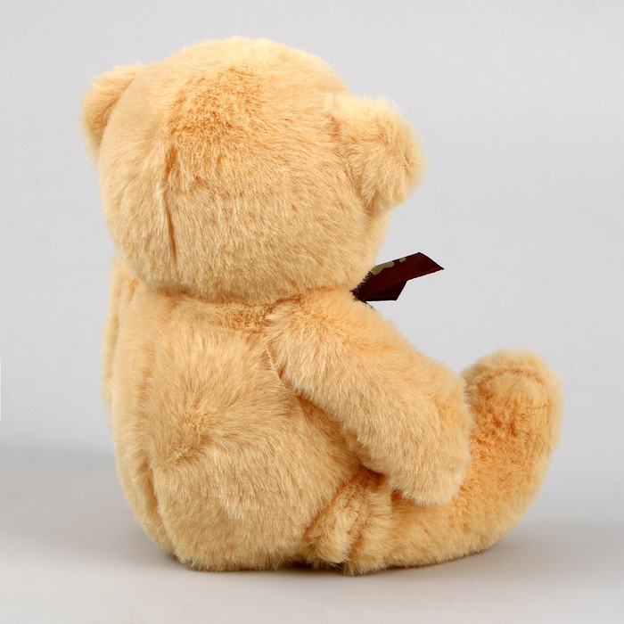 Мягкая игрушка «Мишка» Мягкая игрушка «Мишка»