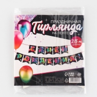 Гирлянда на ленте &laquo;С Днём рождения&raquo;, 215 см.