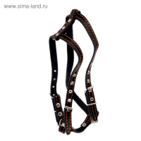 Шлейка кожаная "Прогулочная", 1,5 см, ОШ35-50 см, ОГ 60-68 см, чёрный Шлейка кожаная "Прогулочная", 1,5 см, ОШ35-50 см, ОГ 60-68 см, чёрный