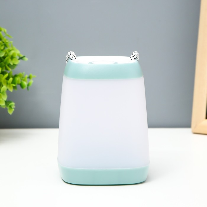 Ночник Ночник "Навигатор" LED, 3Вт, 3 режима, 3ААА голубой 9х7х2,5 см RISALUX