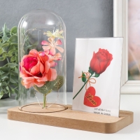 Фоторамка 9х13 см свет "Розовая роза в колбе" от батареек 2хLR1130 9,8х19,5х18 см Фоторамка 9х13 см свет "Розовая роза в колбе" от батареек 2хLR1130 9,8х19,5х18 см