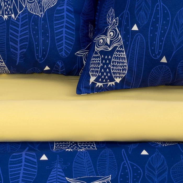 Постельное бельё "Этель" 2 сп Ушастые совы (вид 3) 175 х 215 см, 200 х 220 см, 70 х 70 - 2 шт