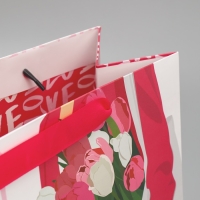 Пакет подарочный ламинированный двухсторонний, упаковка, &laquo;Стиль&raquo;, ML 23 х 27 х 11,5 см